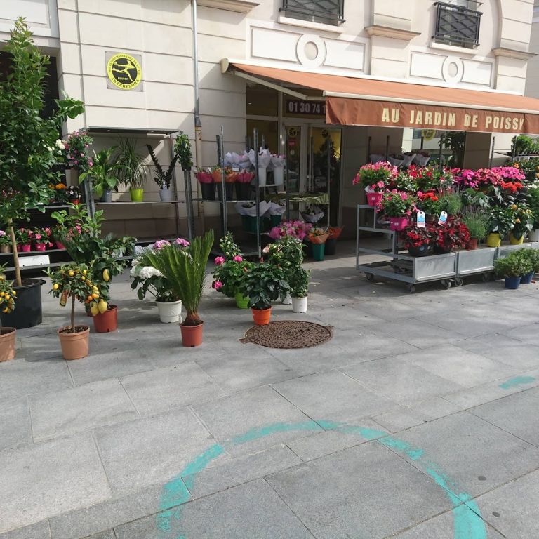 Au jardin de poissy