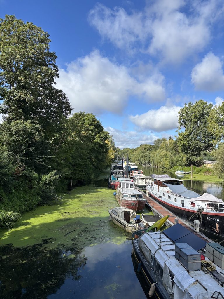 L’Escale Royale Poissy Île de Migneaux