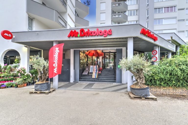 Mr.Bricolage Poissy