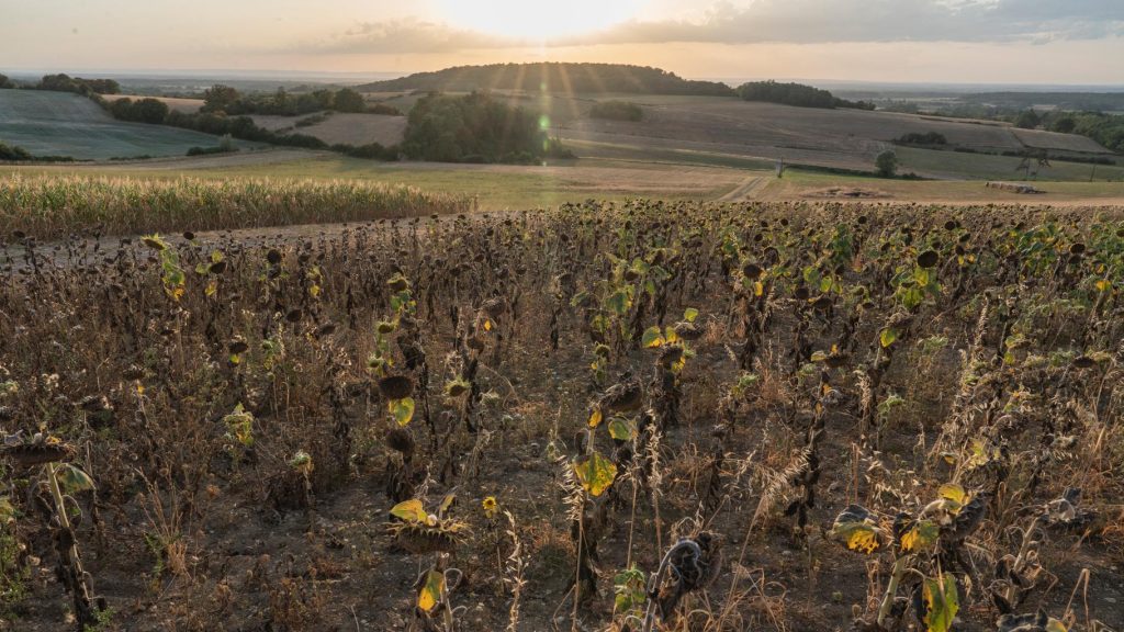 France's 2026 Heat Wave Matches 1983 Record