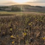 France's 2026 Heat Wave Matches 1983 Record