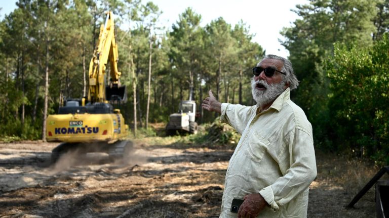 Illegal Firebreak in Gironde Sparks Corruption Probe