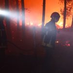 Landes Wildfire: Delayed Air Support Sparks Anger
