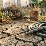 Yvelines Drought Crisis, Poissy Bridge, School News